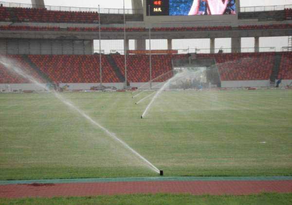 足球場(chǎng)天然草坪 足球場(chǎng)天然草坪