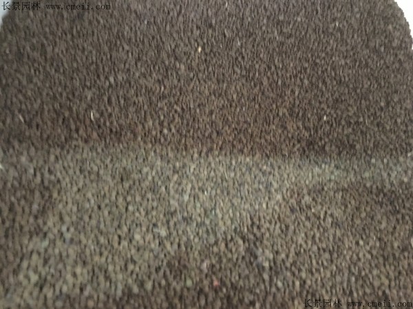 蛇滅門(mén)種子圖片