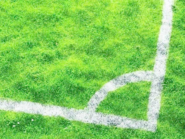 足球場(chǎng)天然草坪 足球場(chǎng)天然草坪